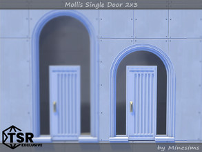 Sims 4 — Mollis Single Door 2x3 by Mincsims — Basegame Compatible 8 swatches for Short Wall