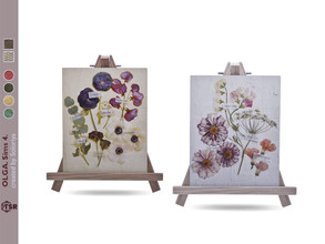 Sims 4 — Olga. Pressed Florals by soloriya — Pressed flors. Part of Olga set. 2 color variations. Category: Decorative -