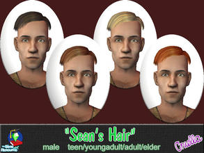 Sims 2 — am_SeansHair by Cruella — University trim. In teen, young adult, adult and elder. All ages have a recolored