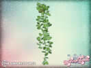 Arran - Plant - Click to view and download separately!