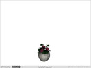 Lewis Plant - Click to view and download separately!
