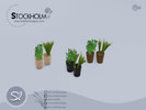 Stockholm Herbs - Click to view and download separately!