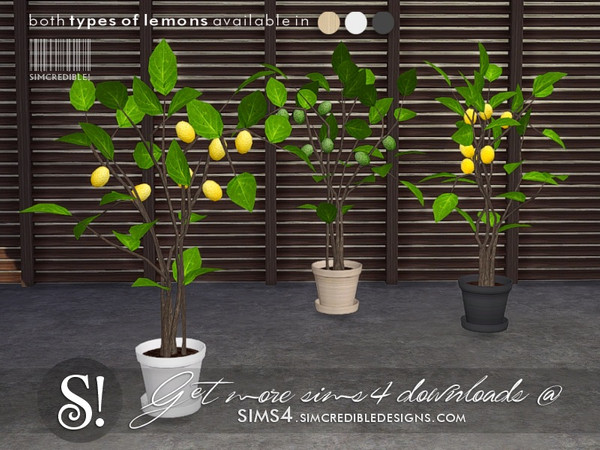 Sims 4 — Like a Sunday potted lemon plant by SIMcredible! — by SIMcredibledesigns.com available at TSR 6 colors