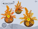 Autumn Chords Flowers - Click to view and download separately!