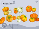 Autumn Chords Pumpkins Trio - Click to view and download separately!