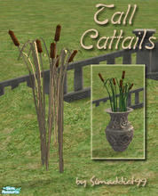 Sims 2 — Tall Cat Tails - RC 5 Dried Straw by Simaddict99 — requires mesh from this set, see get mesh link below.
