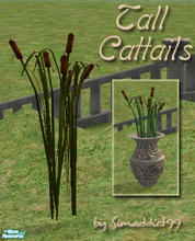 Sims 2 — Tall Cat Tails - RC 4 Dark Summer Green by Simaddict99 — requires mesh from this set, see get mesh link below.