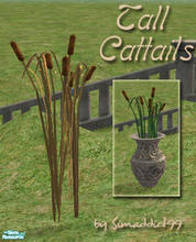 Sims 2 — Tall Cat Tails - RC 2 Autumn Gold by Simaddict99 — requires mesh from this set, see get mesh link below.