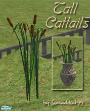 Sims 2 — Tall Cat Tails - Mesh by Simaddict99 — beautiful, tall cat tails. Use outside in yards and parks, or place