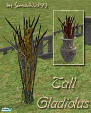 Sims 2 — Tall Gladiolus - RC 8 Yellow by Simaddict99 — mesh from this set required, see get mesh link below.