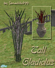 Sims 2 — Tall Gladiolus - RC 7 White by Simaddict99 — mesh from this set required, see get mesh link below.