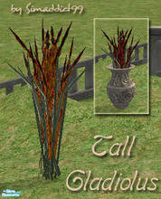 Sims 2 — Tall Gladiolus - RC 3 Orange by Simaddict99 — mesh from this set required, see get mesh link below.