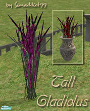 Sims 2 — Tall Gladiolus - RC 2 Fuchsia by Simaddict99 — mesh from this set required, see get mesh link below.