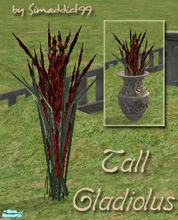 Sims 2 — Tall Gladiolus - Mesh by Simaddict99 — very tall blooming glads that are perfect for the garden as well as