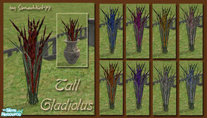 Sims 2 — Tall Gladiolus by Simaddict99 — very tall blooming glads that are perfect for the garden as well as placed