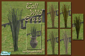Sims 2 — Tall wild grass by Simaddict99 — large, wild grass plant for your garden or use with planters/urns and pots