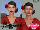 GOAmazons_RoxanneHairAcc.package - Click to view and download separately!