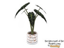 Comiko Boho Bedroom Alocasia Plant - Click to view and download separately!