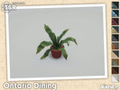 Ontario Plant 05 - Click to view and download separately!