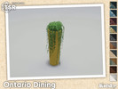 Ontario Plant 06 - Click to view and download separately!