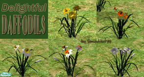 Sims 2 — Delightful Daffodils by Simaddict99 — spruce up your garden with these delightful daffodils. Set comes with