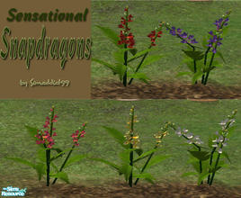 Sims 2 — Sensational Snapdragons by Simaddict99 — A wonderful addition to any garden. Meshes plus 4 recolors. Note: set