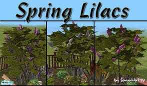 Sims 2 — Spring Lilacs by Simaddict99 — Wonderful, large (4 tile)lilac bush in full bloom. mesh plus 2 recolors.
