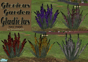 Sims 2 — Glorious Gladiolus by Simaddict99 — Get your gardens ready for spring with these glorious glads. A wonderful