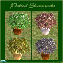 Sims 2 — Potted Shamrocks by Simaddict99 — Celebrate St. Patty's day throughout the year with these wonderful potted