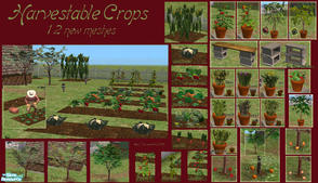 Sims 2 — Harvestable Crops Super Set by Simaddict99 — Huge collection of harvestable crops for your sims. Includes trees,