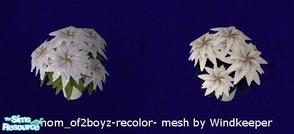Sims 2 — TC109-Classic First Impressions Recolor-Poinsettia 1 by mom_of2boyz — This is a recolor of Windkeepers
