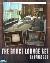 Sims 2 — The Bruce Livingroom by Padre 333 by Padre — This one is for the batchelor Sims. Strong dark greys, dark