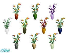 Sims 1 — Birds of Paradise Set by ReneeFox — Includes: Plants (10)