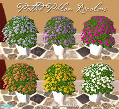 Sims 2 — Potted Phlox Recolors by Simaddict99 — 6 fun recolors of dgandy's potted phlox, also includes a white pot