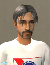 Sims 2 — Salt n Pepper Style by SimTim420 — Salt n Pepper style hair.