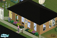 Sims 1 — Swanky Studio House by MizItalia66 — This house has 1 bathroom, a kitchen, tv/eating area and a bedroom area.