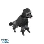 Sims 1 — Twinkie by TSR Archive — High Society black poodle, Twinkie will only eat gourmet tidbits, adopt today.