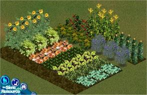Sims 1 — Farm Crop Set by hootyholler — Includes basil, goldenrod, corn, poison ivy, sunflowers, dirt, feverfew,