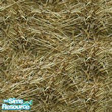 Sims 2 — Farm yard Deco - large Hay by Simaddict99 — large hay ground texture for your farm yard and barn- seamless