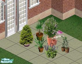 Sims 1 — Plant Set by sgandra — Includes: Plants(6)