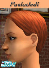 Sims 2 — New Peach Blush by paulajedi — Peach blush to highlight the cheekbones.