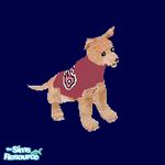 Sims 1 — Bruiser by oldmember_mouselover200 — This is Bruiser from Legally Blonde 1 and 2 his "Law School"