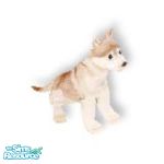 Sims 1 — Husky01 by TSR Archive — Beautiful light brown Husky puppy. They are looking for a nice Sims home, and a special