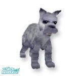 Sims 1 — Holly by TSR Archive — Beautiful Silver Dark Grey Schnauzer puppy. They are looking for a nice Sims home, and a