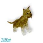Sims 1 — GS by TSR Archive — Beautiful brown German Shepard puppy. They are looking for a nice Sims home, and a special
