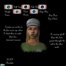 Sims 2 — Basics by andi and grim — This set contains the five basic colors, one green, one brown, one gray / grey, and