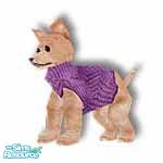 Sims 1 — Pedro Purple by TSR Archive — This little PARIS pooch want-a-be is wearing a designer angora knit sweater, comes