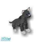 Sims 1 — Socks by Steffieb — This doggy was rescued as a puppy and would love to come home with your sims.