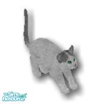 Sims 1 — Dusk by Steffieb — Sparkling Green-eyed Cat that is sure to get your sims attention.