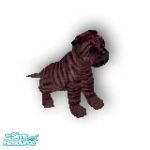 Sims 1 — Inky by TSR Archive — Who doesn't love "chocolate", especially when it's the color of this cute